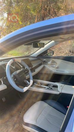 شيري أريزو 8